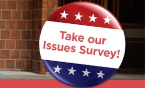Election Survey Image